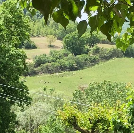 Agriturismo Il Covo Del Solengo Vila Valtopina Exterior foto